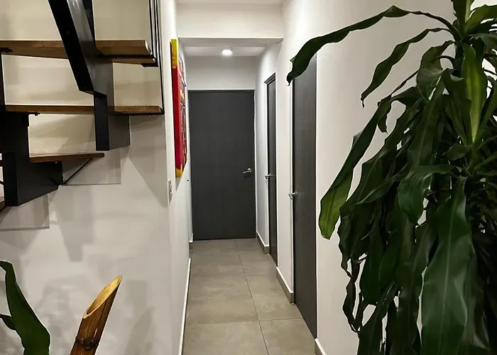 Cómodo Departamento En El Centro Apartamento *