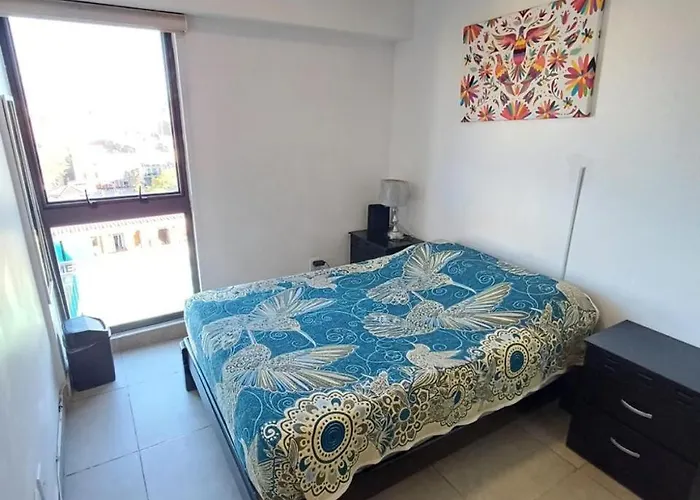 Cómodo Departamento En El Centro Apartamento *